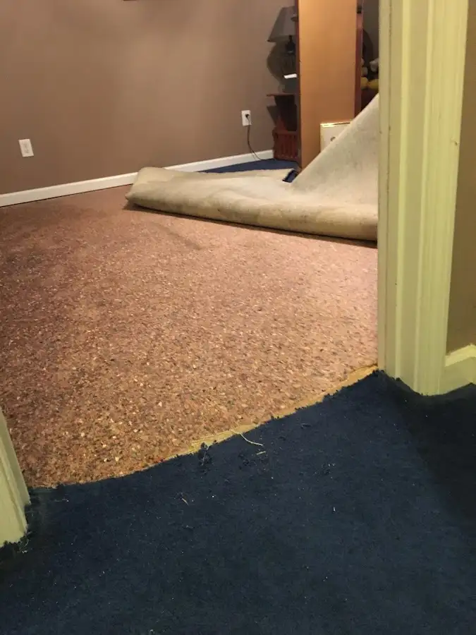 Carpet pad removal revealing water damage during Drying & Dehumidification in Torrington